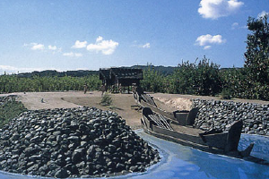 模型