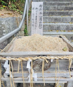 砂２
