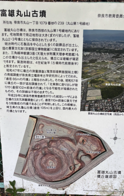 富雄