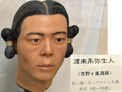 渡来