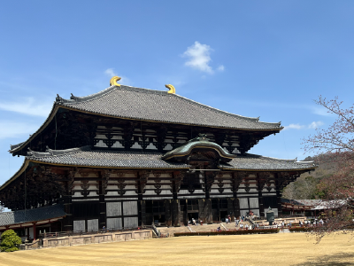 寺