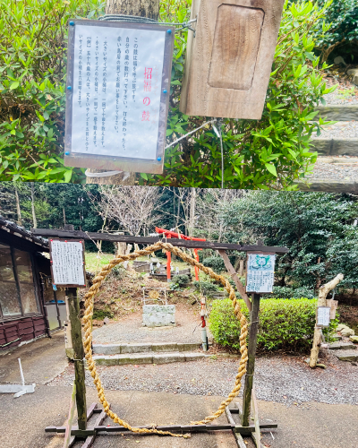 月読3